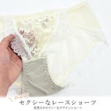 ブラジャーショーツセット ノンワイヤー レースブラジャー | レースレディース | 詳細画像5