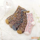 【5足セット】 靴下 クルーソックス | レースレディース  | 詳細画像2 