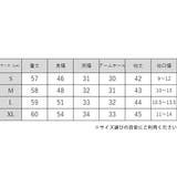タック ボリューム袖 ブラウス | レースレディース | 詳細画像20