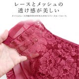シアーレース シースルーショーツ レディース | レースレディース | 詳細画像2