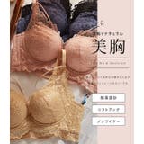 ベルト付きレーシィノンワイヤーブラ&ショーツセット 女性 レディース | レースレディース  | 詳細画像2 
