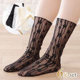 【6足セット】フラワーラインシースルークルーソックス 女性 レディース | レースレディース  | 詳細画像1 