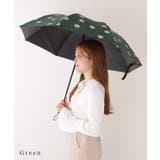 【雨晴兼用】 花柄 ガーリー | レースレディース  | 詳細画像16 