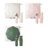 ソリッドカラー 花柄 スカラップ | レースレディース  | 詳細画像8