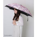 ボタニカル柄 刺繍 スカラップ | レースレディース  | 詳細画像14 