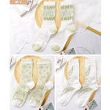 ボタニカル柄 クルー丈 リブ | レースレディース  | 詳細画像3 