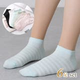 ソリッドカラー メッシュ ボーダー | レースレディース | 詳細画像1