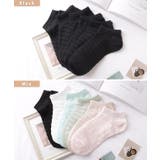 ソリッドカラー メッシュ ボーダー | レースレディース | 詳細画像2