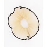 【7点セット】シフォン プリーツ パイピング | レースレディース  | 詳細画像15 