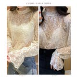 シアー 花柄 レース | レースレディース  | 詳細画像2 