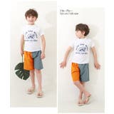 クレイジーサーフパンツ 子供服 キッズ | devirock | 詳細画像10