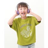 005-フルーツ-ピスタチオ | サラっとストレッチ メッシュ デビラボ | devirock