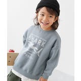 005-サメ-くすみブルー | デビラボ プリント 裏起毛 | devirock