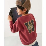 014-トラ-ボルドー | デビラボ プリント 裏起毛 | devirock