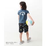 UVカット Tシャツ型 半袖ラッシュガード | devirock | 詳細画像11