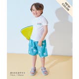 UVカット Tシャツ型 半袖ラッシュガード | devirock | 詳細画像13