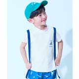 012-サメ-ホワイト | UVカット Tシャツ型 半袖ラッシュガード | devirock