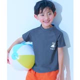 013-サメ-ブルーグレー | UVカット Tシャツ型 半袖ラッシュガード | devirock