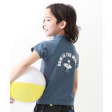 015-ヒト3-ブルーグレー | UVカット Tシャツ型 半袖ラッシュガード | devirock