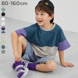 綿100％ 型崩れしにくい 無地＆切替 | devirock | 詳細画像1 