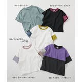 綿100％ 型崩れしにくい 無地＆切替 | devirock | 詳細画像2 