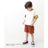 綿100％ 型崩れしにくい 無地＆切替 | devirock | 詳細画像7 