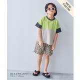 綿100％ 型崩れしにくい 無地＆切替 | devirock | 詳細画像14 