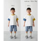 綿100％ 型崩れしにくい 無地＆切替 | devirock | 詳細画像17 