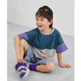 011-バイオレット-アッシュブルー | 綿100％ 型崩れしにくい 無地＆切替 | devirock