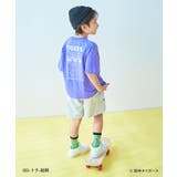阪神タイガースコラボ 2Pソックス 子供服 キッズ 男の子 女の子 靴下 | devirock | 詳細画像9