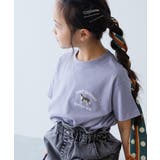 003-イヌ-Gブルー | 綿100% デビラボ BOXシルエット | devirock