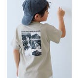 013-フォト-Lグレー | 綿100% デビラボ BOXシルエット | devirock