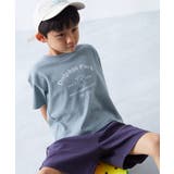 008-Dolphin-ダスティブルー | 綿100% デビラボ BOXシルエット | devirock