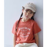 010-BEAR-ソフトコーラル | 綿100% デビラボ BOXシルエット | devirock