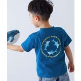 014-サメ-クラシックブルー | 綿100% デビラボ BOXシルエット | devirock