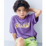 006-ロゴ3-バイオレット | 速乾 サラっとストレッチ メッシュ | devirock