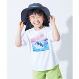 001-シャチ-ホワイト | 色が変わるマジックプリント 接触冷感 2WAYフォトTシャツ | devirock