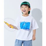 003-ペンギン-ホワイト | 色が変わるマジックプリント 接触冷感 2WAYフォトTシャツ | devirock
