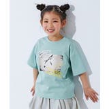 004-ペンギン-アイスミント | 色が変わるマジックプリント 接触冷感 2WAYフォトTシャツ | devirock