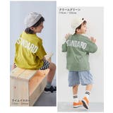 綿100％型崩れしにくい STANDARD バックロゴプリント半袖Tシャツ | devirock | 詳細画像15 