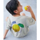 012-レモン-Lグレー | 涼感サラッとメッシュ×デビラボ プリント 半袖Tシャツ | devirock