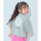 013-フラワー‐セージ | 綿100% デビラボガールズ クロップド丈プリント半袖Tシャツ | devirock