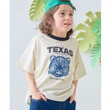 001-トラ-オフホワイト | 綿100% デビラボ×アニマルカレッジ BIGシルエットプリント半袖Tシャツ | devirock