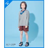 devirock×えぬくんちゃんねる えらべる袖丈 ボーダーラッシュガード&サー… | devirock | 詳細画像5