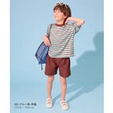 devirock×えぬくんちゃんねる えらべる袖丈 ボーダーラッシュガード&サー… | devirock | 詳細画像11