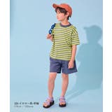 devirock×えぬくんちゃんねる えらべる袖丈 ボーダーラッシュガード&サー… | devirock | 詳細画像15