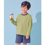 021-イエロー系-長袖 | devirock×えぬくんちゃんねる えらべる袖丈 ボーダーラッシュガード&サー… | devirock