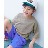 023-ロゴ2-Dグレージュ | イージーウォッシュ 乾燥機OK 防汚 | devirock