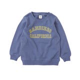 043-Dブルー | 綿100％ デビラボ プリント裏毛トレーナー③ | devirock