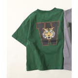 060-トラ-ボトルグリーン | デビラボ BIG 半袖Tシャツ | devirock